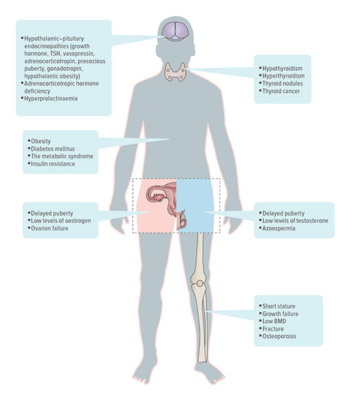 Fig A:  This illustration indicates the wide variety of disorders that pediatric cancer survivors can face as they reach adult-hood. Some emerge during treatment, others may take years to appear. Overall, 90 percent of cancer survivors will develop some form of chronic health condition by age 45.